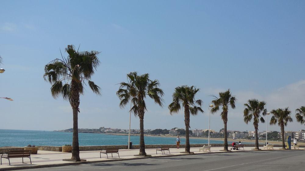 San Damian Hotel Alcossebre Buitenkant foto